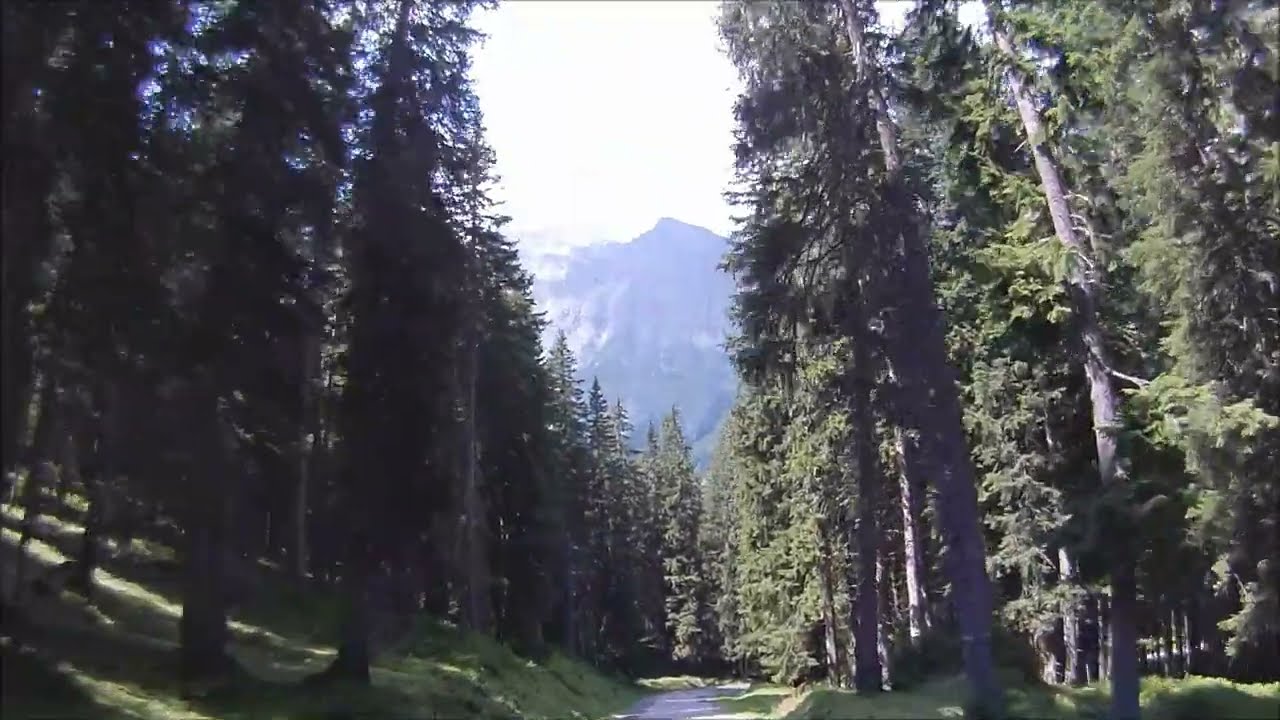 Rauriser Tal + Seidlwinkltal