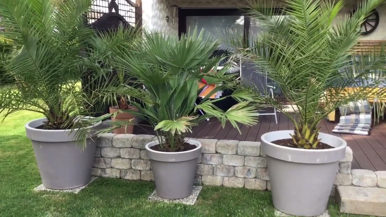 Palmengarten Westerwald