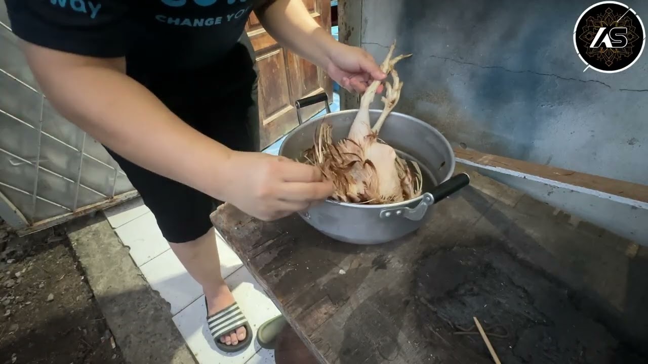 Process Ayam Tua & Siapkan Menu Makan Malam
