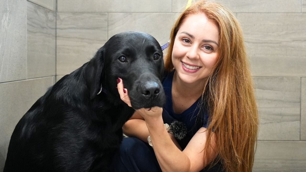 This Puppy Is Training to Change Someone's Life🐾❤️