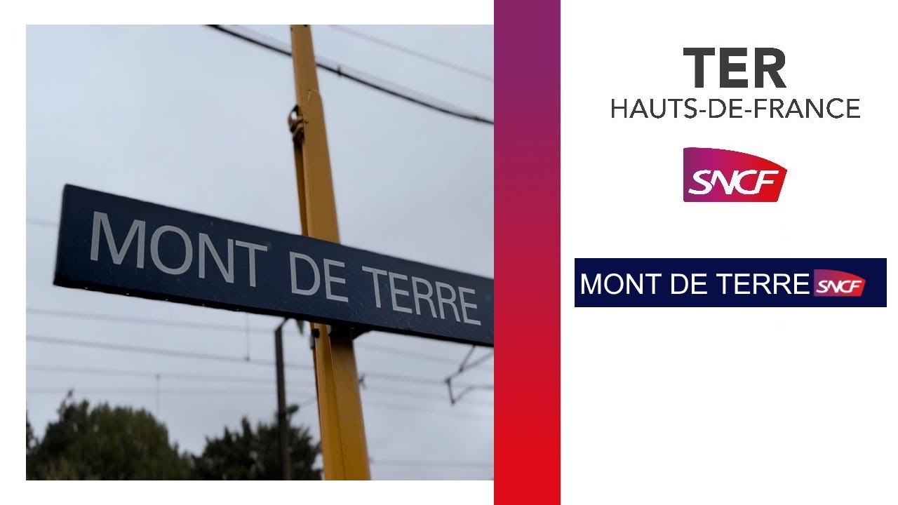 🇫🇷 ⸱ [4K/ SNCF] TGV InOui et TER Hauts de France en Gare de Mont de Terre (Lille)