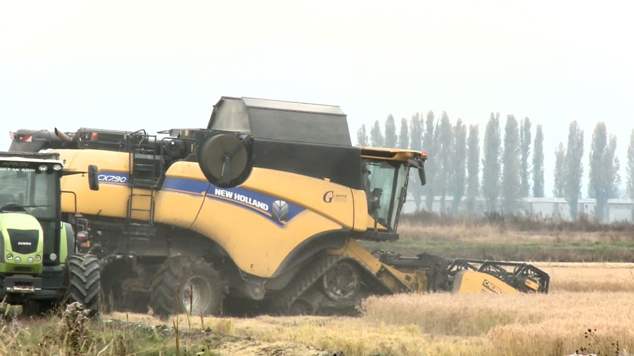New Holland CX 7.90  CX 8040 con due si rende il doppio nella raccolta del riso a Novara