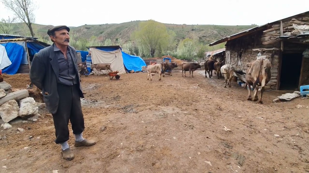 Koçgiride bir Türkü  2 -  Yolören Köyü Muhtari / Niyazi Kösedag