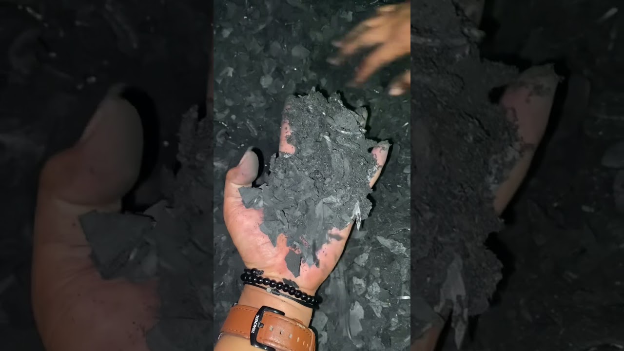 PROSES MATI HAMPA DAN SORTIR ARANG BATOK KELAPA
