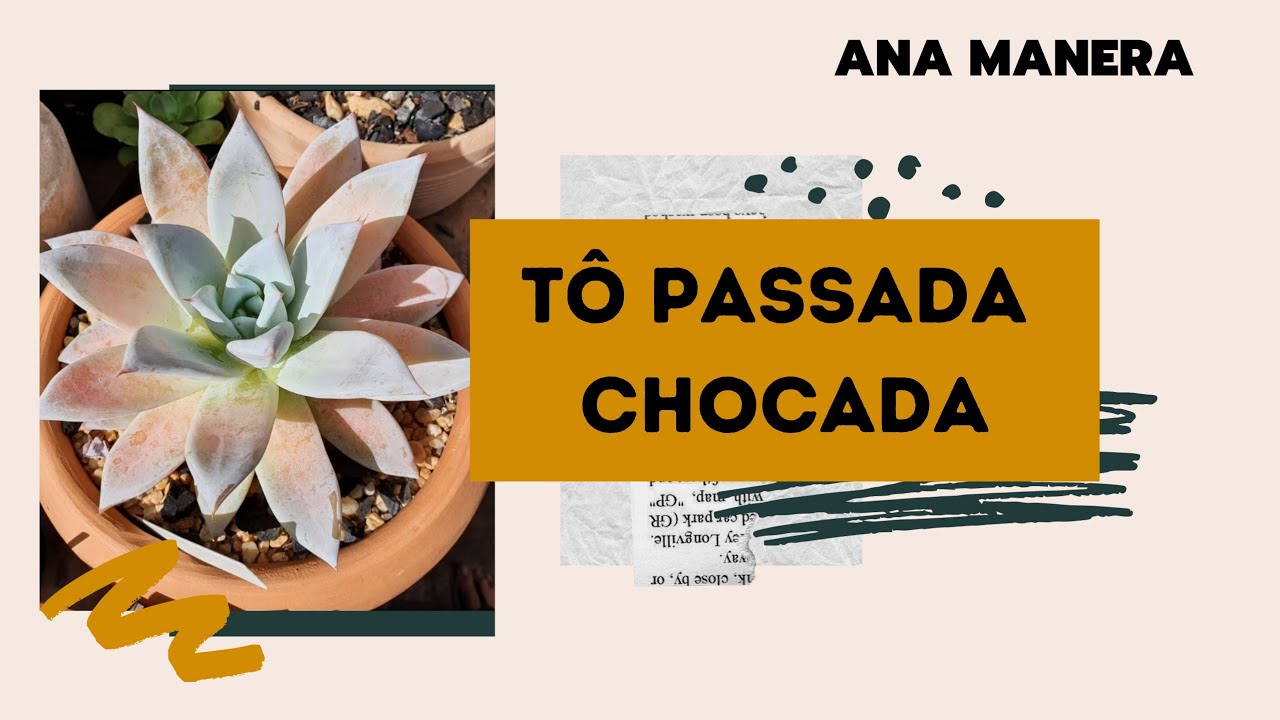 COLEÇÃO DA RENATA