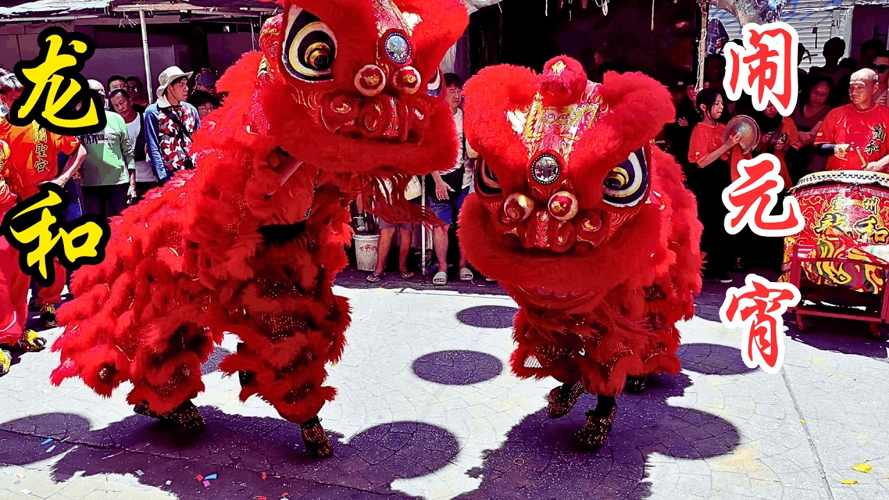 龙和狮艺协会 @ 2026 吉隆坡 茨厂街 闹元宵 / Loong Her  @ 2026 Chap Goh Mei Festival Kuala Lumpur