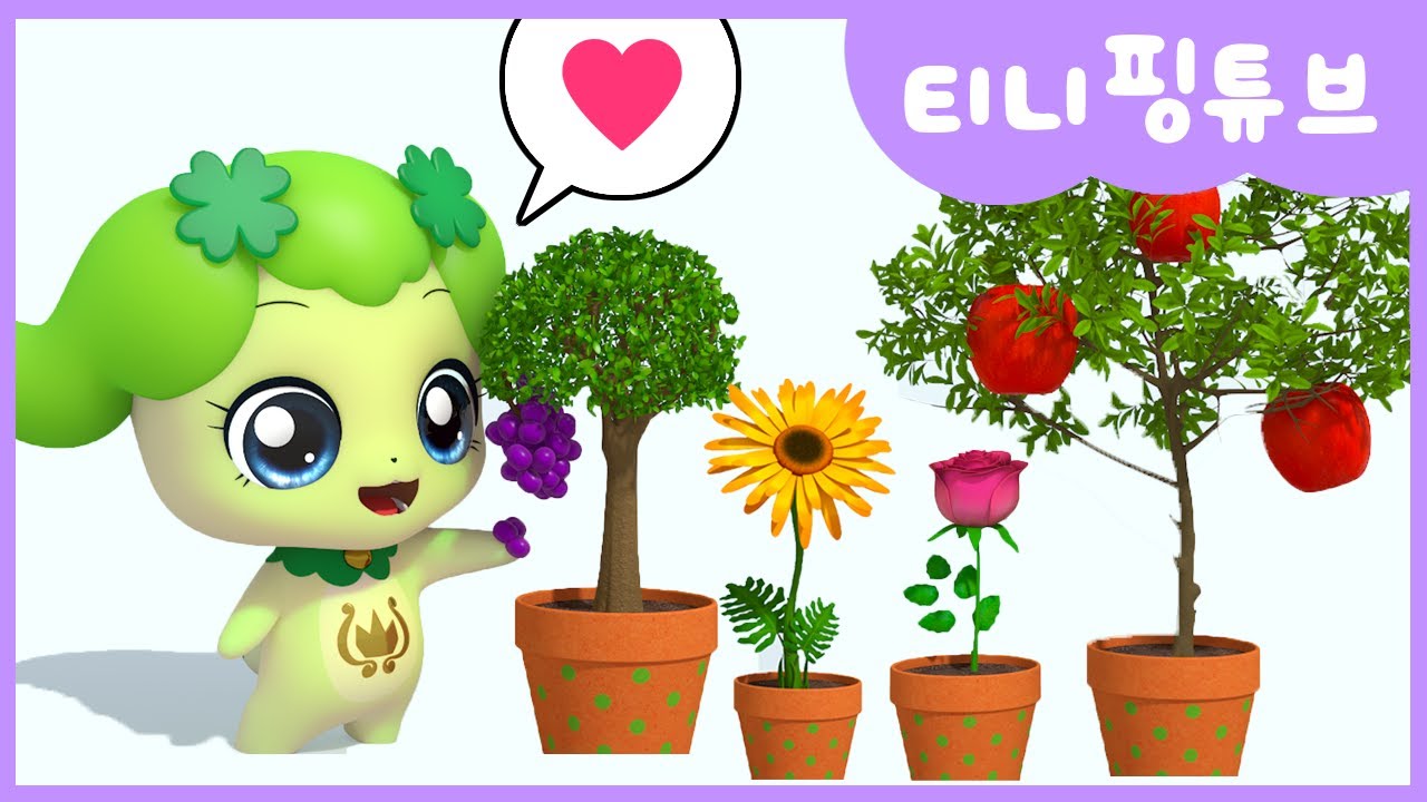 [티니핑튜브] 티니핑 컬러놀이｜차차핑의 랜덤 화분 키우기🌱 💘｜차차핑💚｜장미꽃🌹｜해바라기🌻｜포도🍇｜사과🍎｜티니핑TV