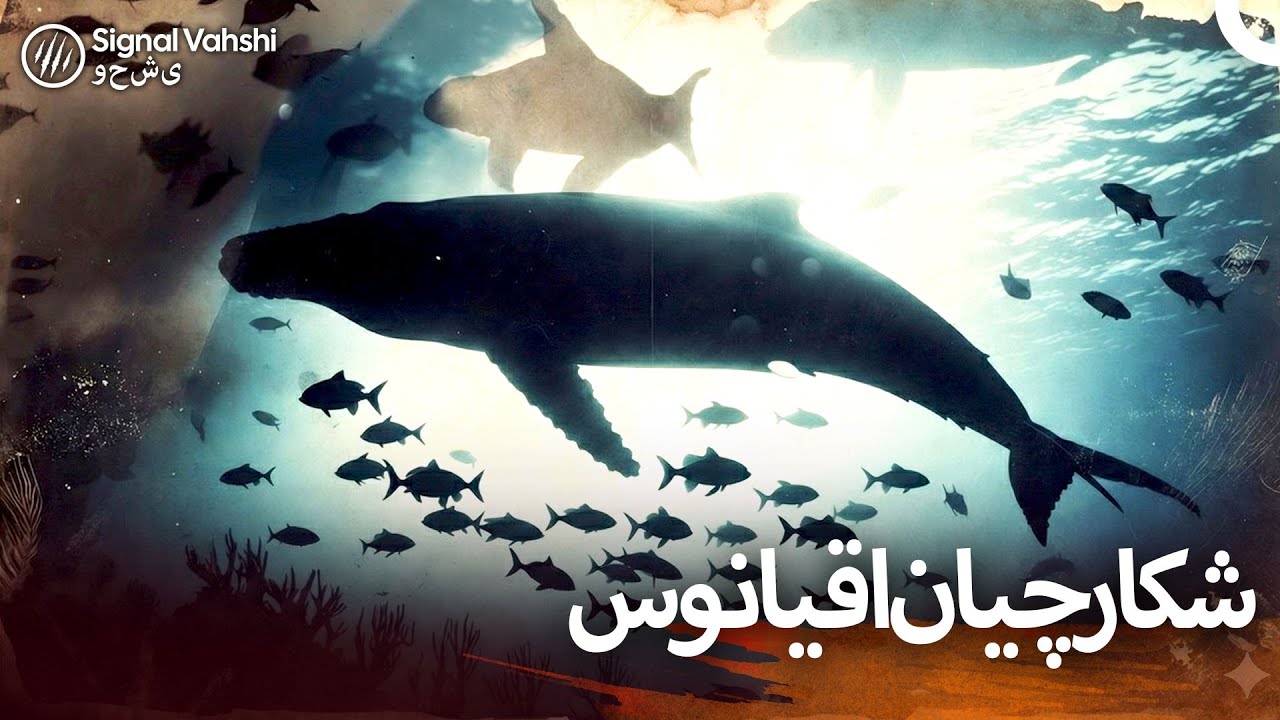 حیات وحش اقیانوس‌ها: شکار در اعماق | مستند دوبله فارسی