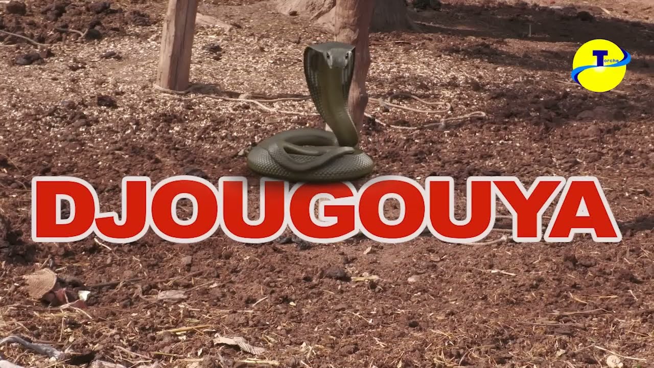 🔥🔥 La méchanceté : DJOUGOUYA film traditionnel malienne en bambara 