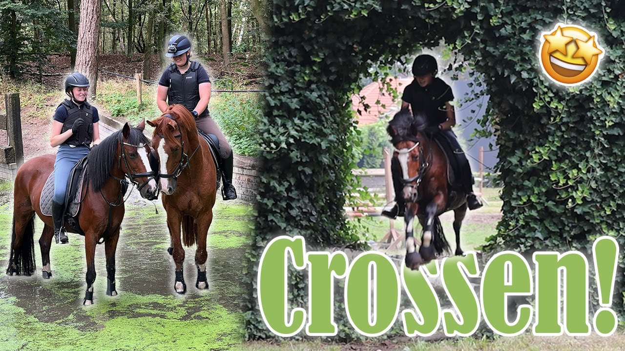 Lucky gaat mee CROSSEN & buitenritje met Valentijn | Vlog 124 | Dwally's Horses