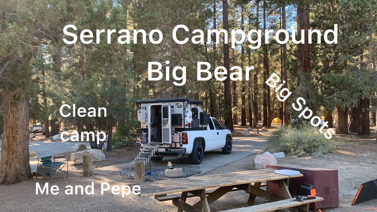 Serrano Campground Big Bear Ca. #camping #bigbear #shortvideo #chihuahua 