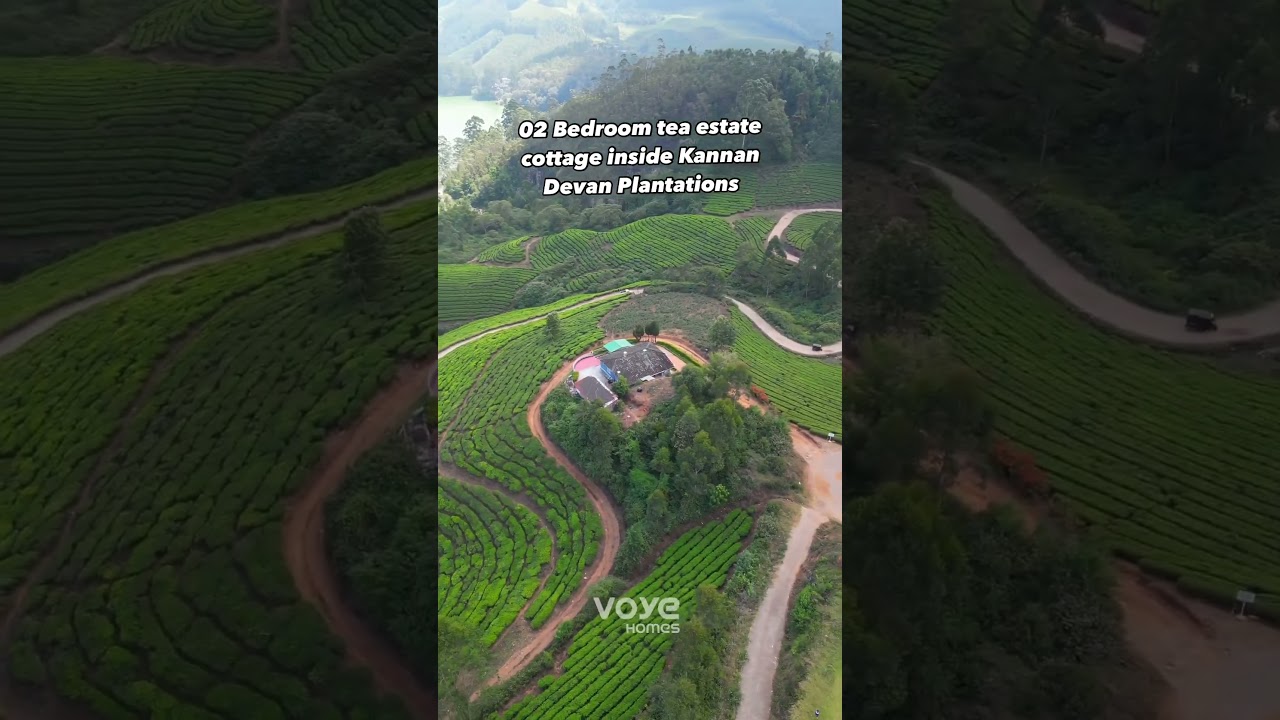 Experience Tea Estate Stay | Plantation Bungalow in Munnar  | 📍Madupetty Lakeside Cottage Munnar