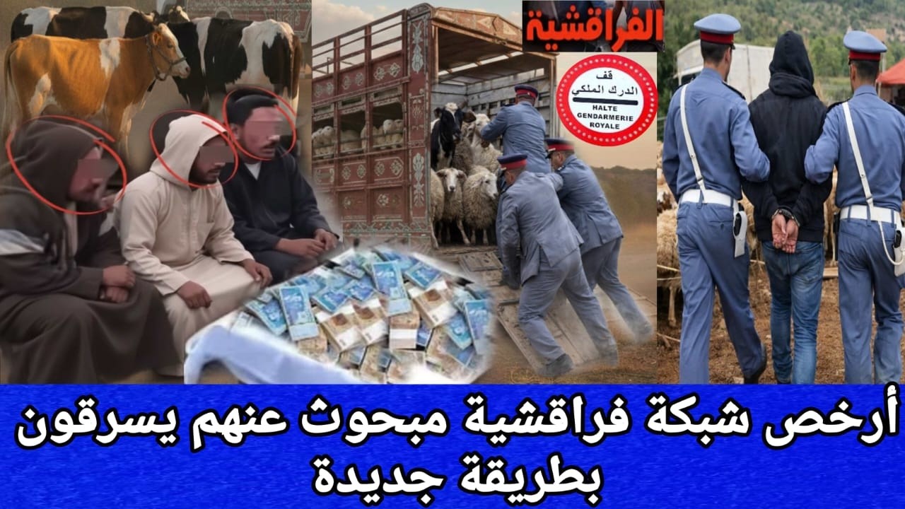 👈 شبكة الفراقشية بجمعة سحيم تكشف عن أسلوب جديد للسرقة⁉️ تشدوا بطريقة مدروسة