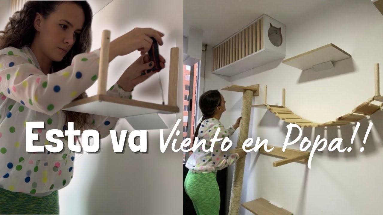 ✨Cómo FABRICAR desde Cero GIMNASIO para GATOS🐈de forma casera ✅