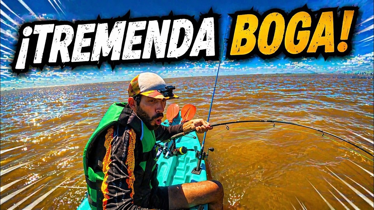 Pesca en Kayak en Martínez (San Isidro) | Boga grande, Doradito y tremenda Raya 🎣🔥