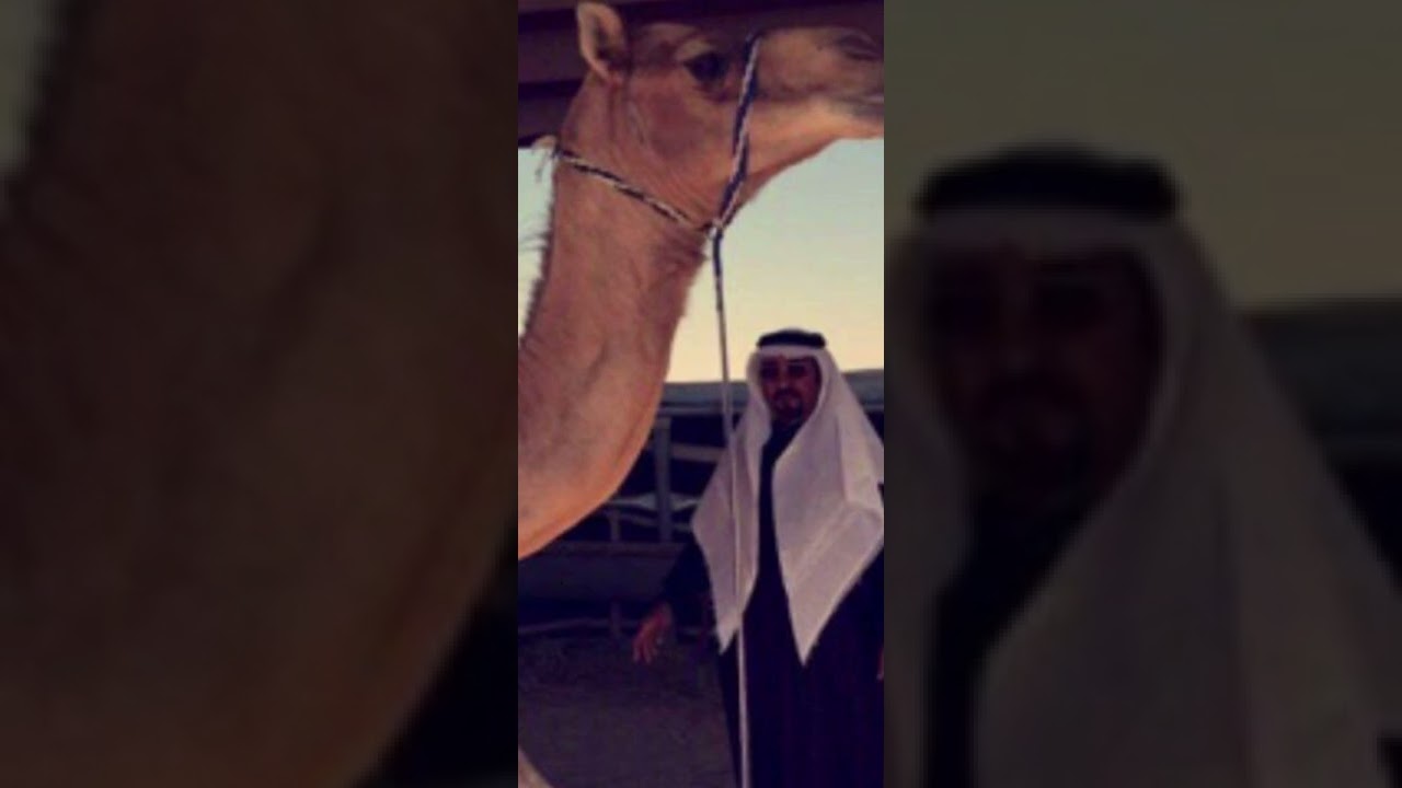 شيلة مهداة الي ابناء المرحوم/ ناصر مبارك الرملان