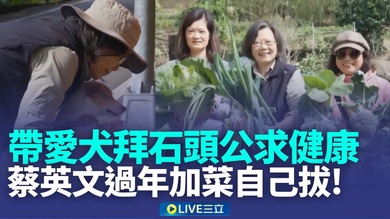 拔蔥太難了! 被鄰笑莖都沒了 蔡英文逗趣比