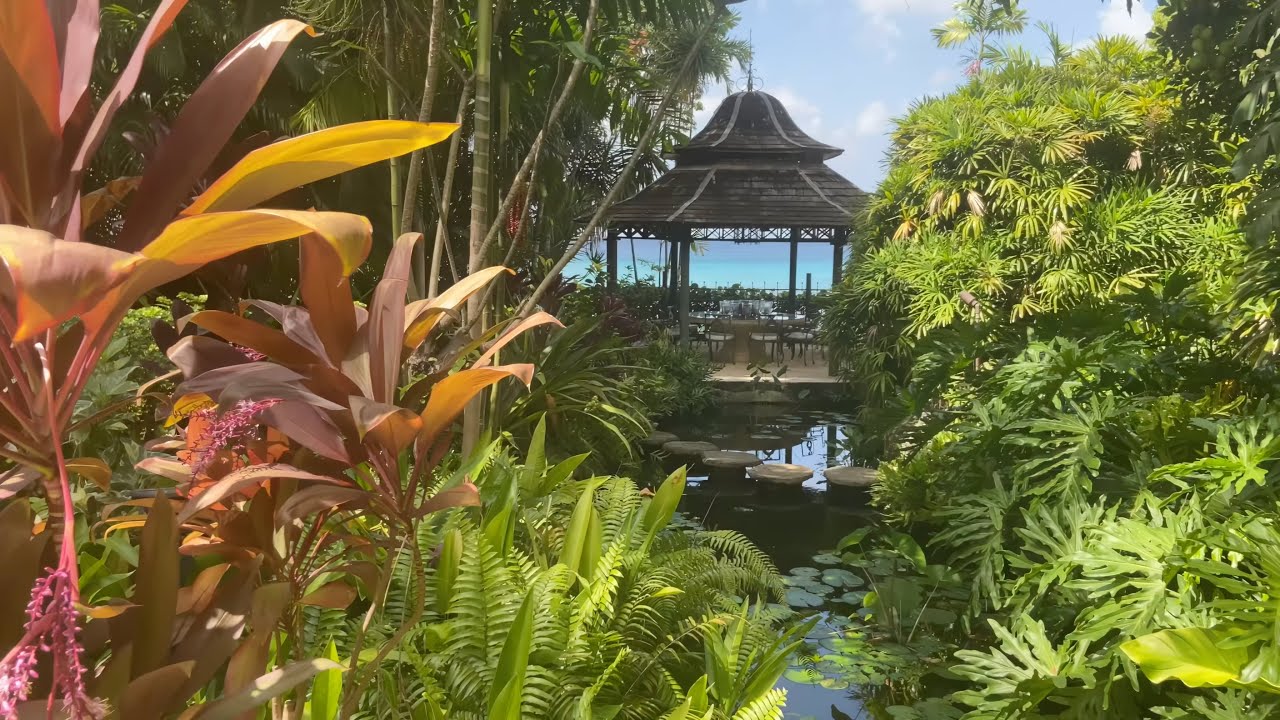 Mango Bay, Weston, St. James | Hammerton Barbados