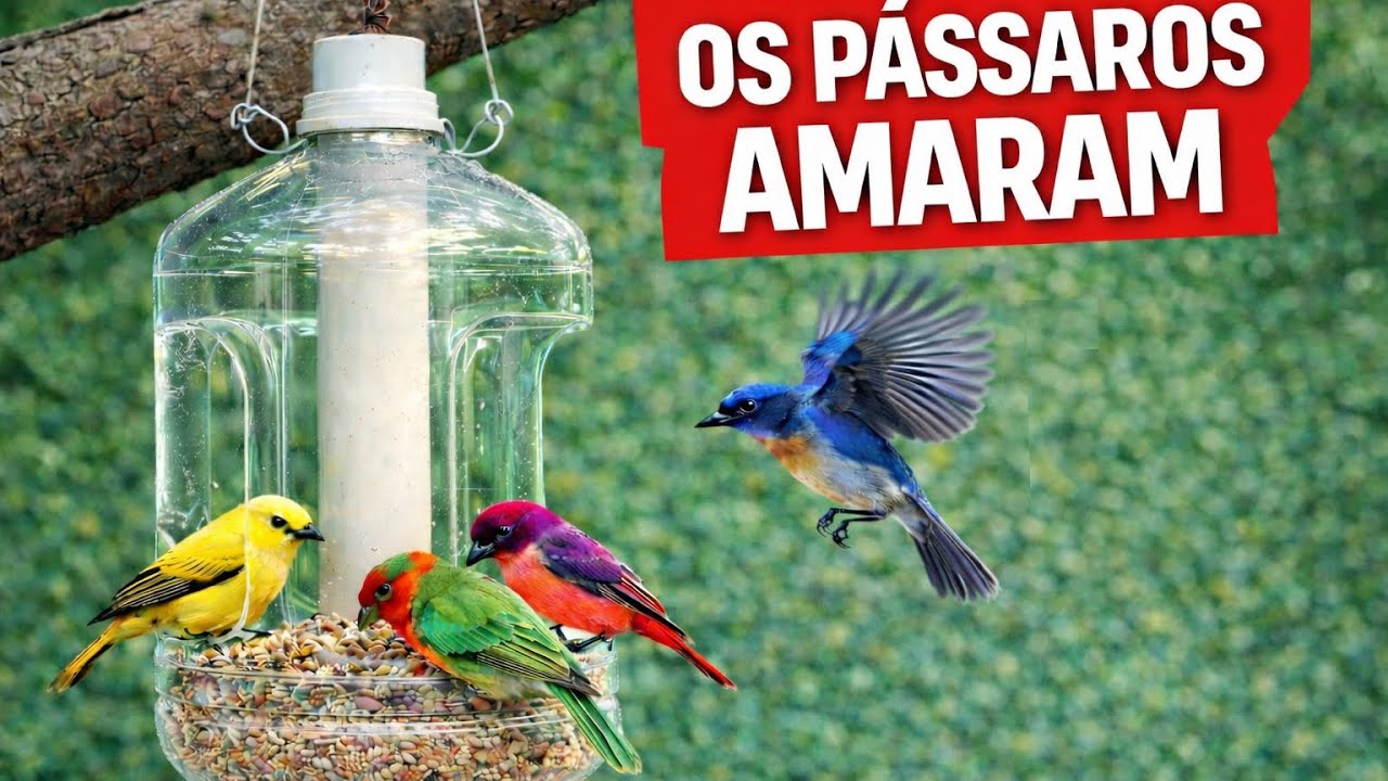 Comedouro RECICLADO que transforma seu quintal num PARAÍSO de pássaros 🐦