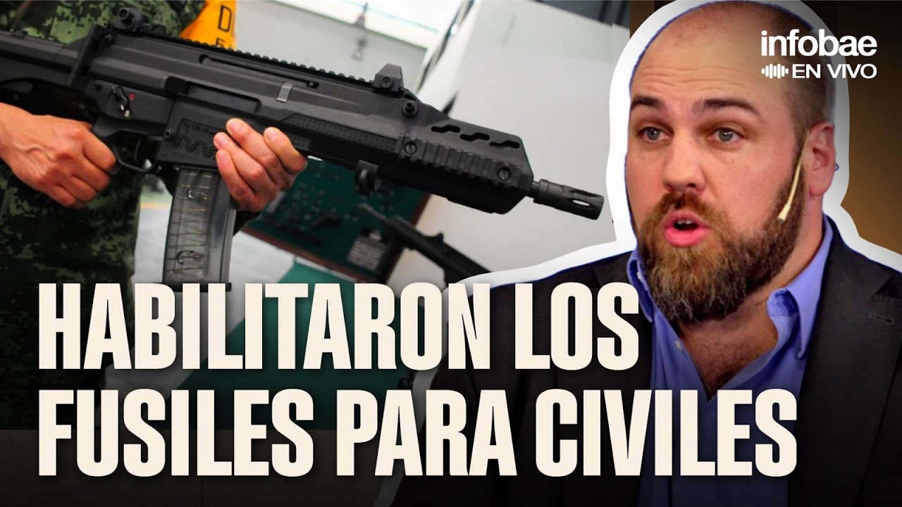 Fusiles semiautomáticos: quiénes podrán comprarlos y por qué | Por Andrei Serbin Pont