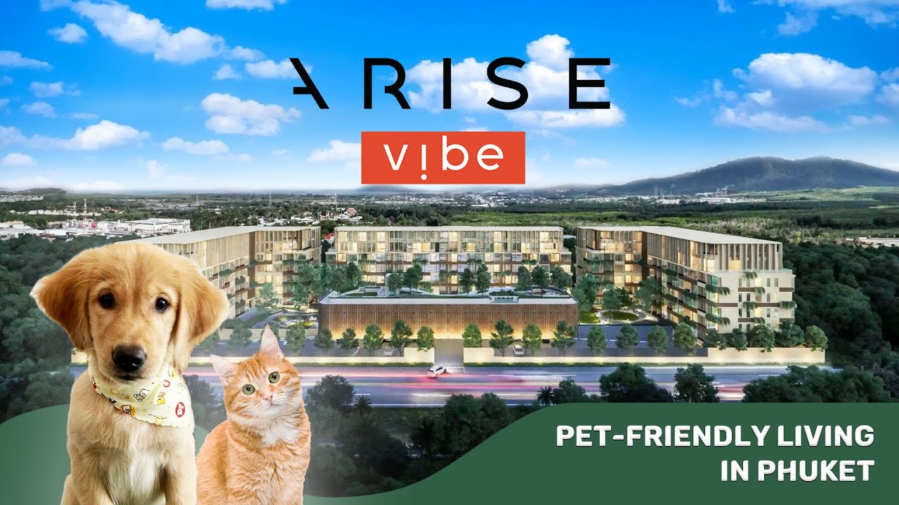 Pet-Friendly Condos: A Growing Trend in Thailand 🐾