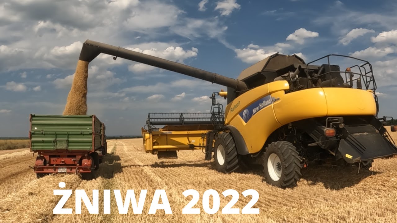 #207 Żniwa oficjalnie rozpoczęte - jęczmień ozimy na start