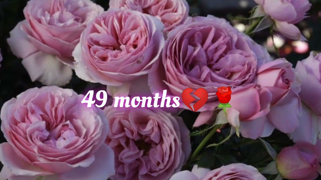 Saffie-Rose Roussos 49 months on💔🌹 