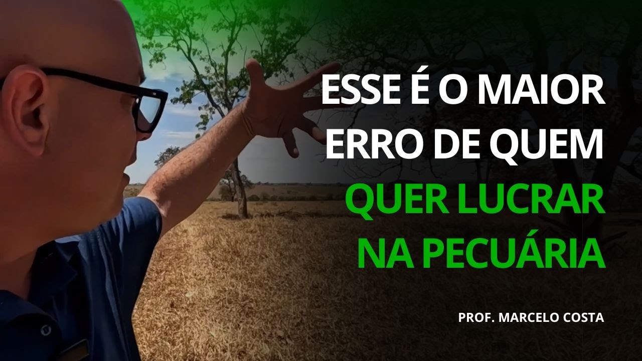 ESSE É O MAIOR ERRO DE QUEM QUER LUCRAR NA PECUÁRIA | PROF. MARCELO COSTA