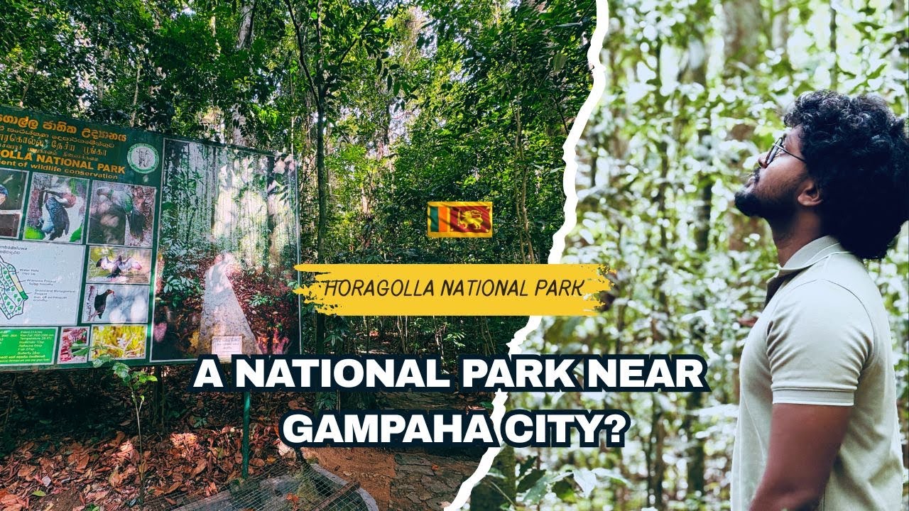 Horagolla National Park | Gampaha District (Sri Lanka 🇱🇰)
