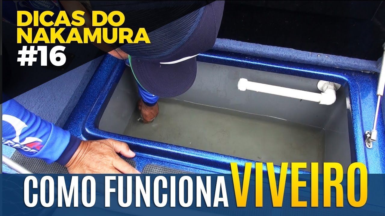 VIVEIRO DO BARCO [DICAS DO NAKAMURA #16]