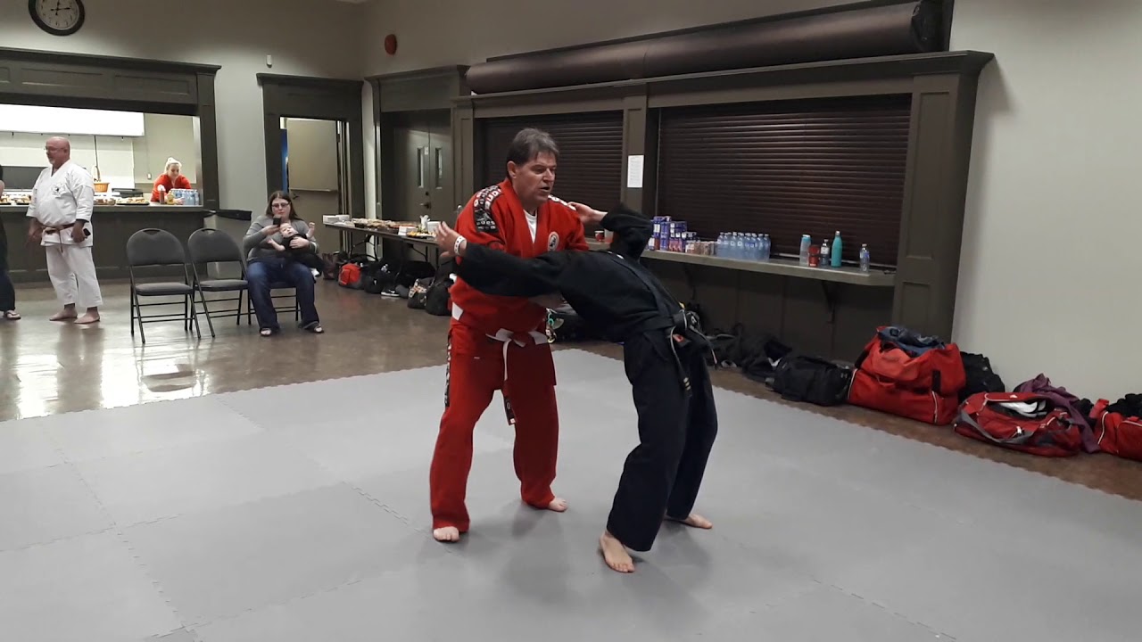 Shihan Mick Legg 1000 Islands Jiu-jitsu Symposium 14/14