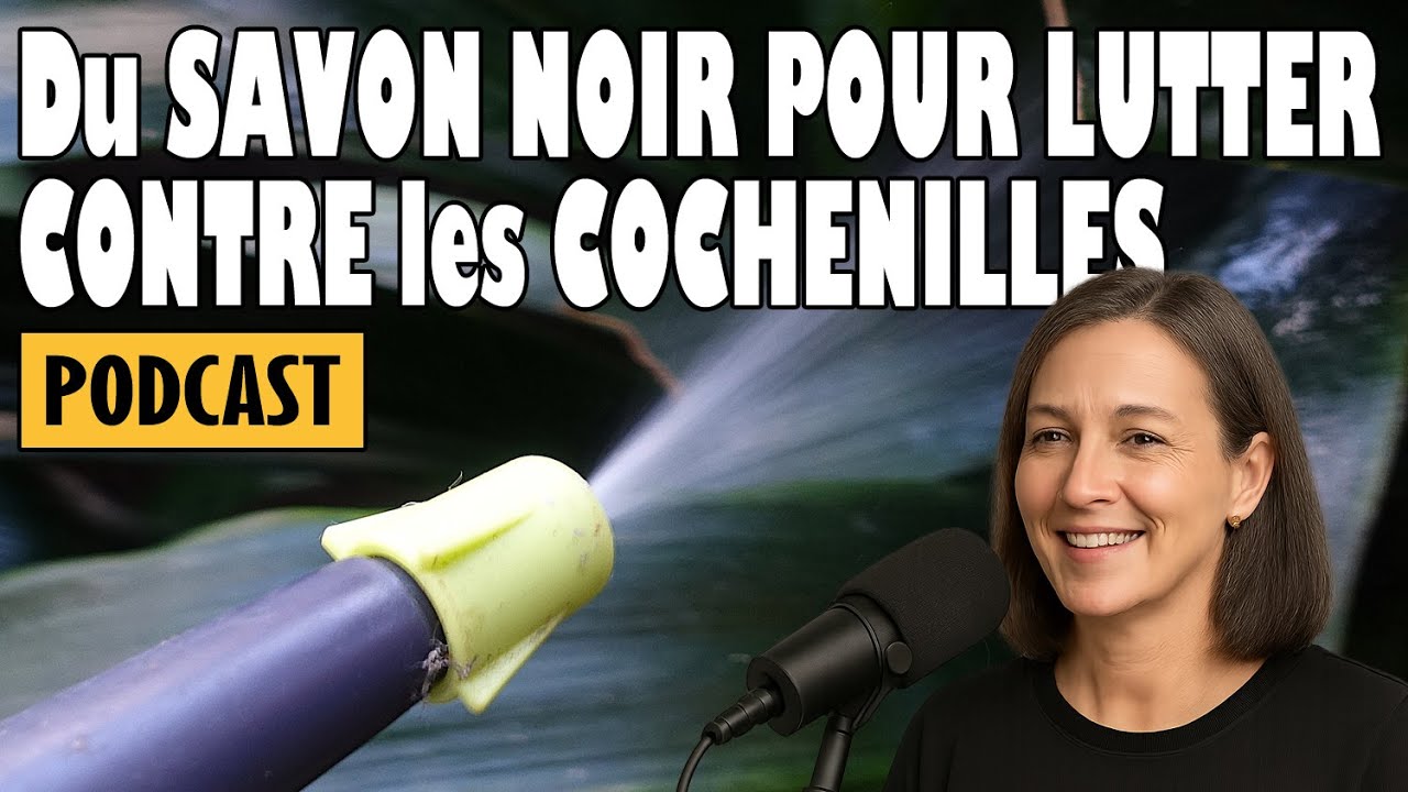 Du SAVON NOIR POUR LUTTER CONTRE les COCHENILLES #podcast #jardin