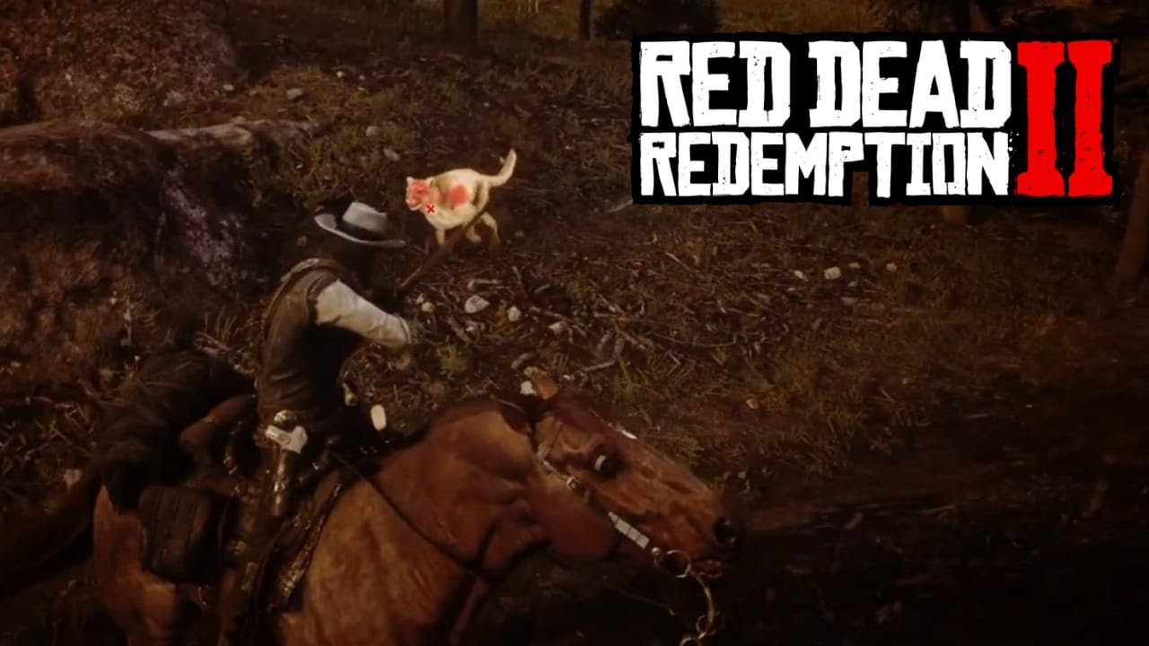 RDR2 Master Hunter 5 & 6 - Cougar Farming Guide | Road to 100% Completion