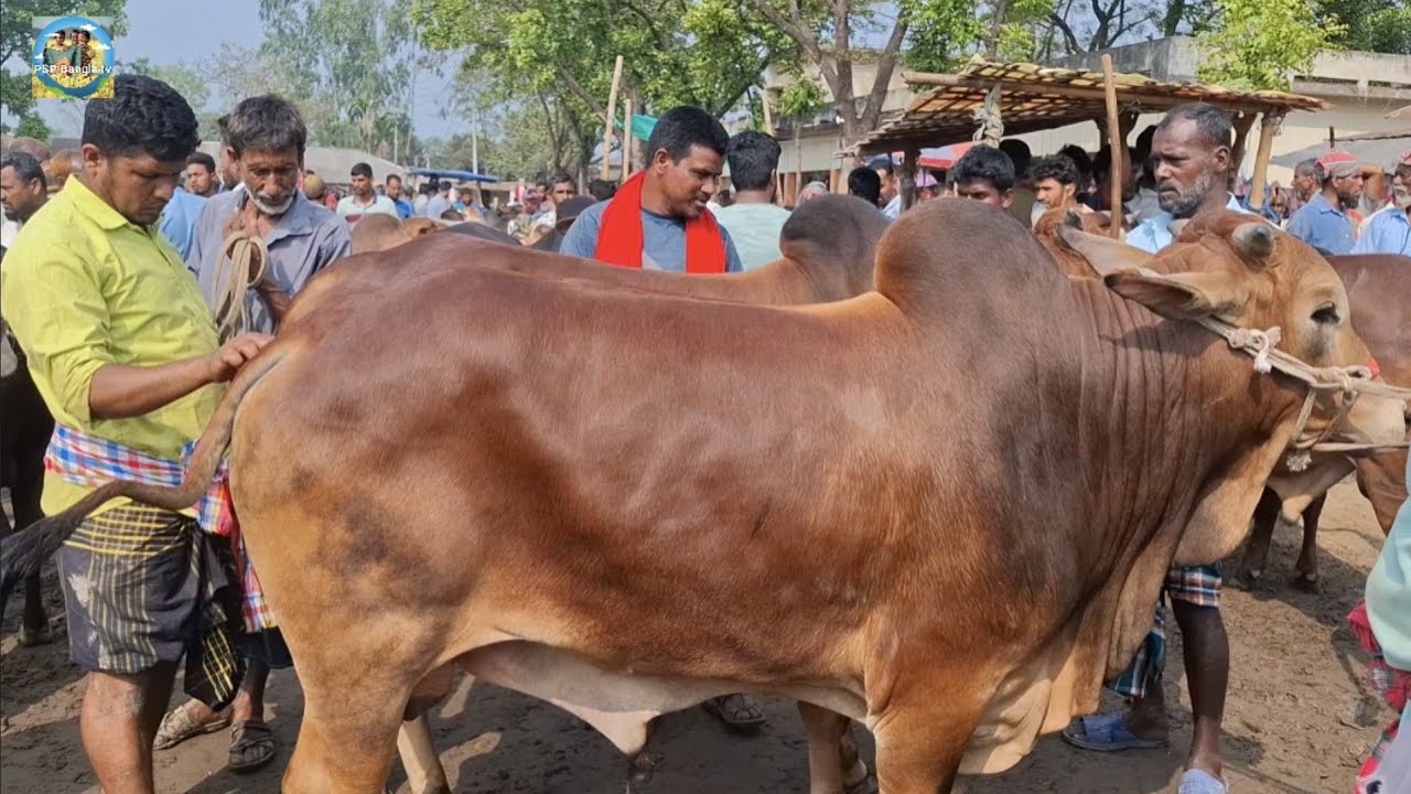 @ মঙ্গলবার ১৭ মার্চ