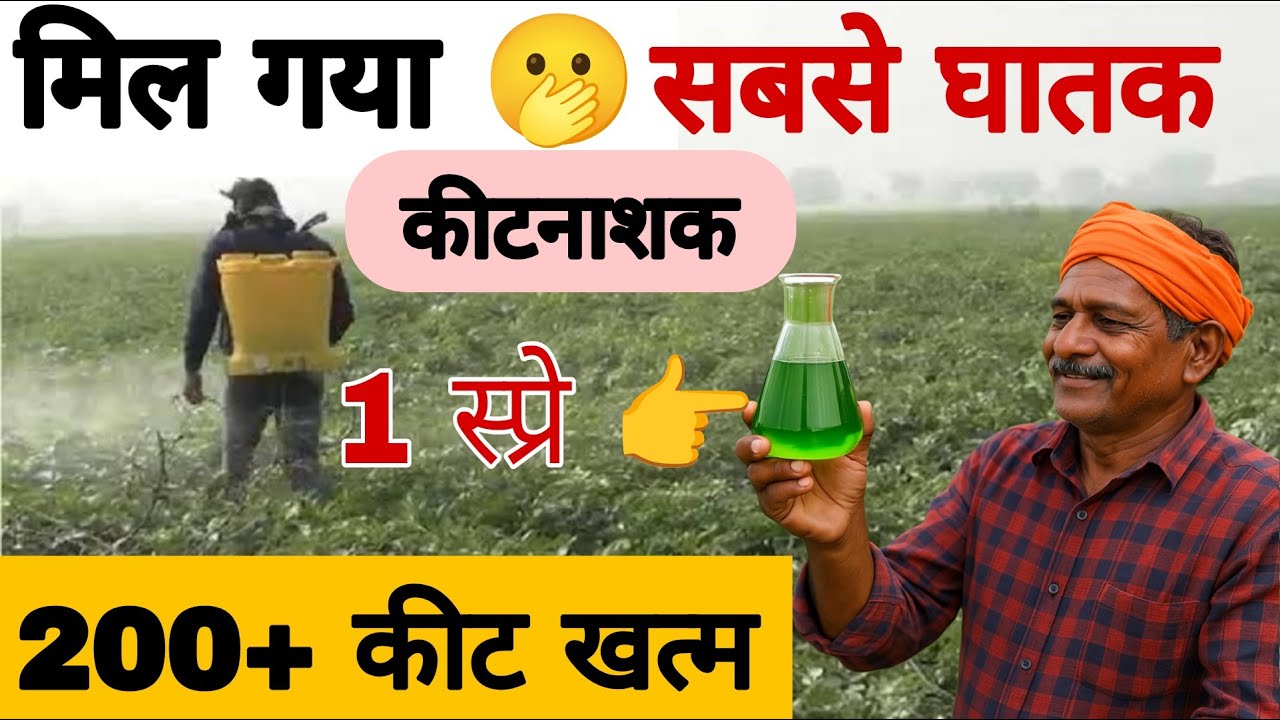 200+ कीट एक बार में खत्म! दुनिया का सबसे ताकतवर जैविक कीटनाशक | most powerful insecticide |
