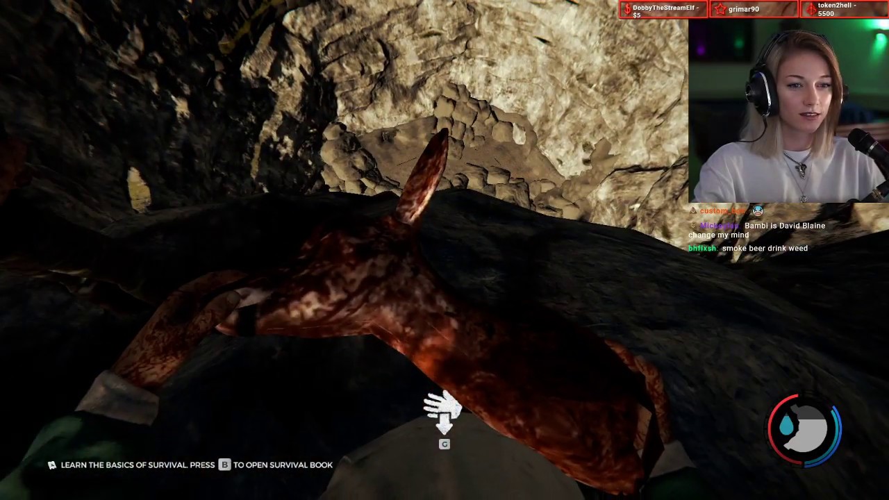The Forest | Kruzadar Stream VOD