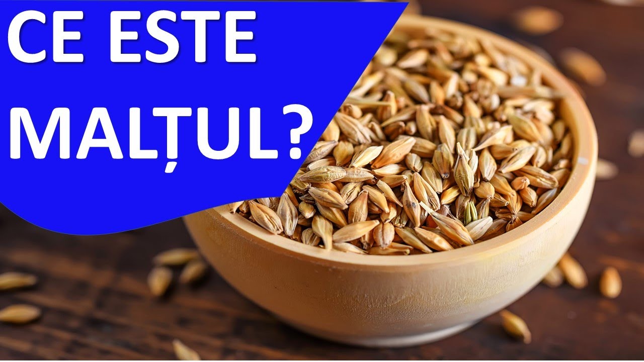 Maltul | Ce este si cum se face maltul | Bere artizanala