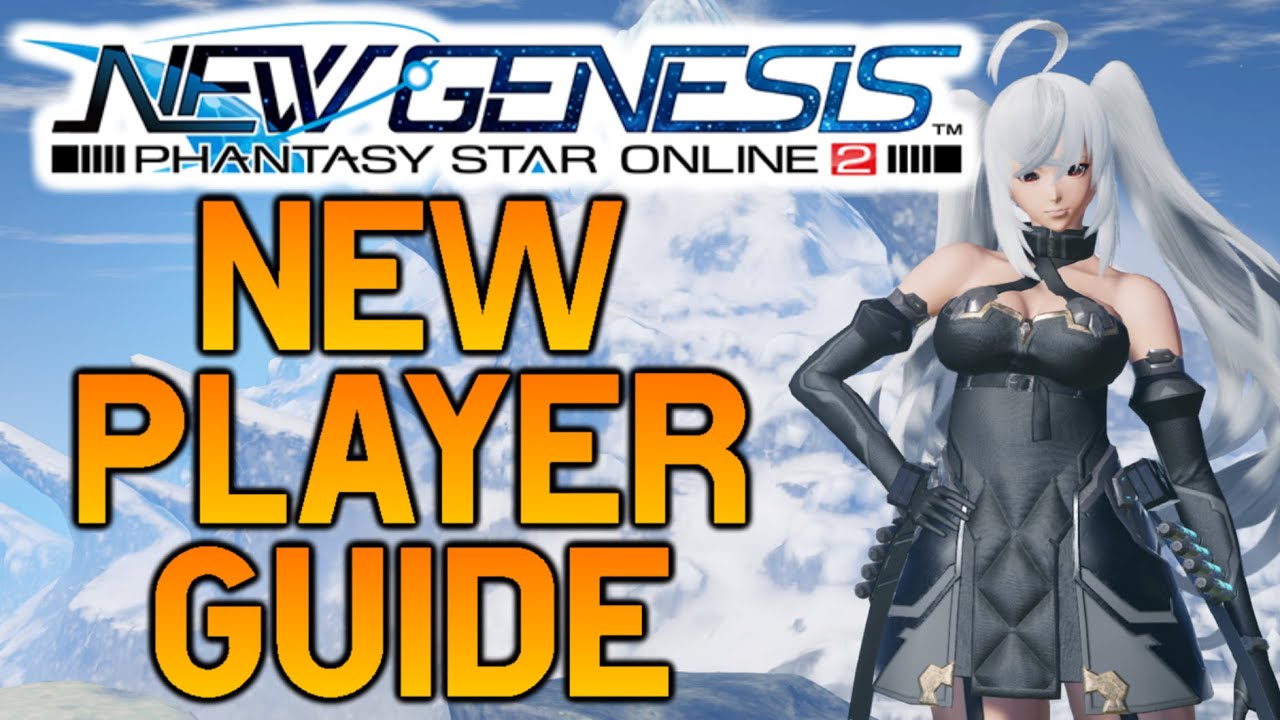 [PSO2: NGS] Beginner's Guide For New Players