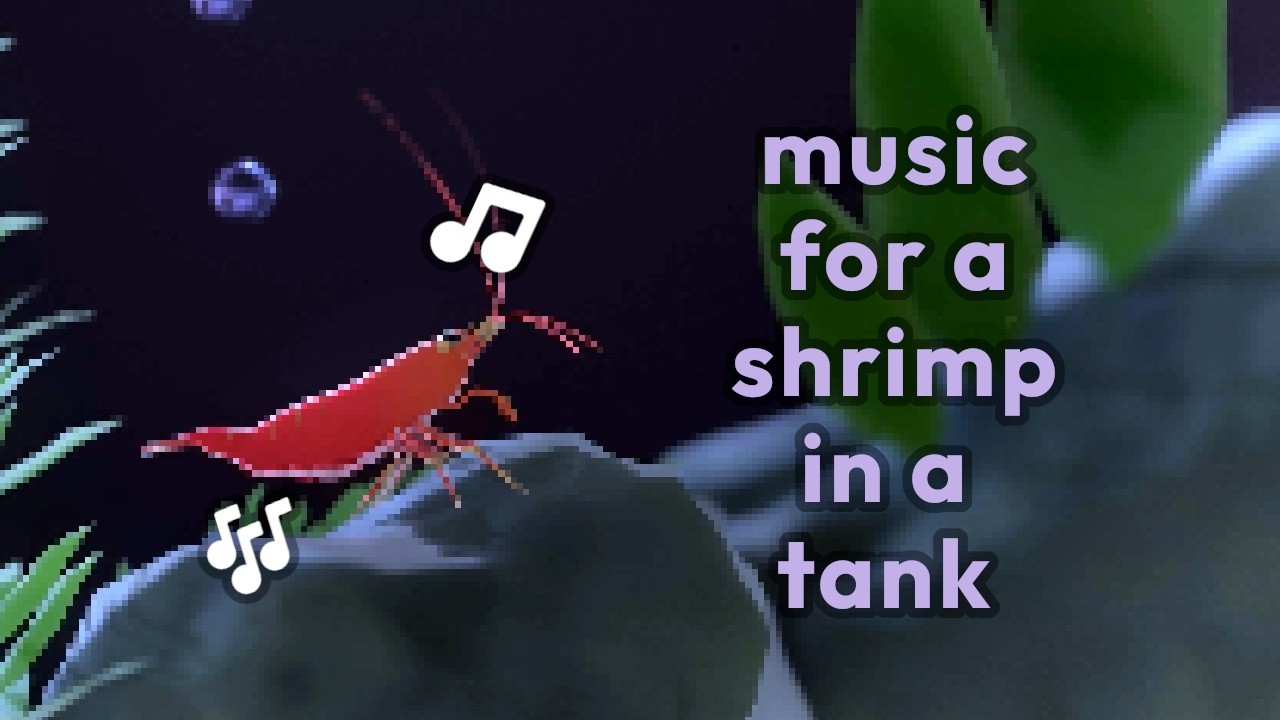 ♫ music for a shrimp in a tank [NO AI] | 1 hour of aquatic ambiance ♪