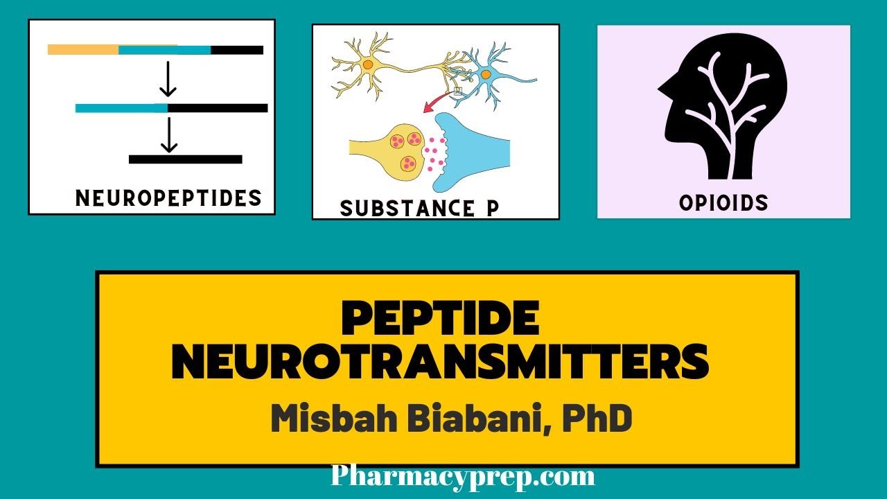 Peptide neurotransmitters, medicinal chemistry and pharmacology