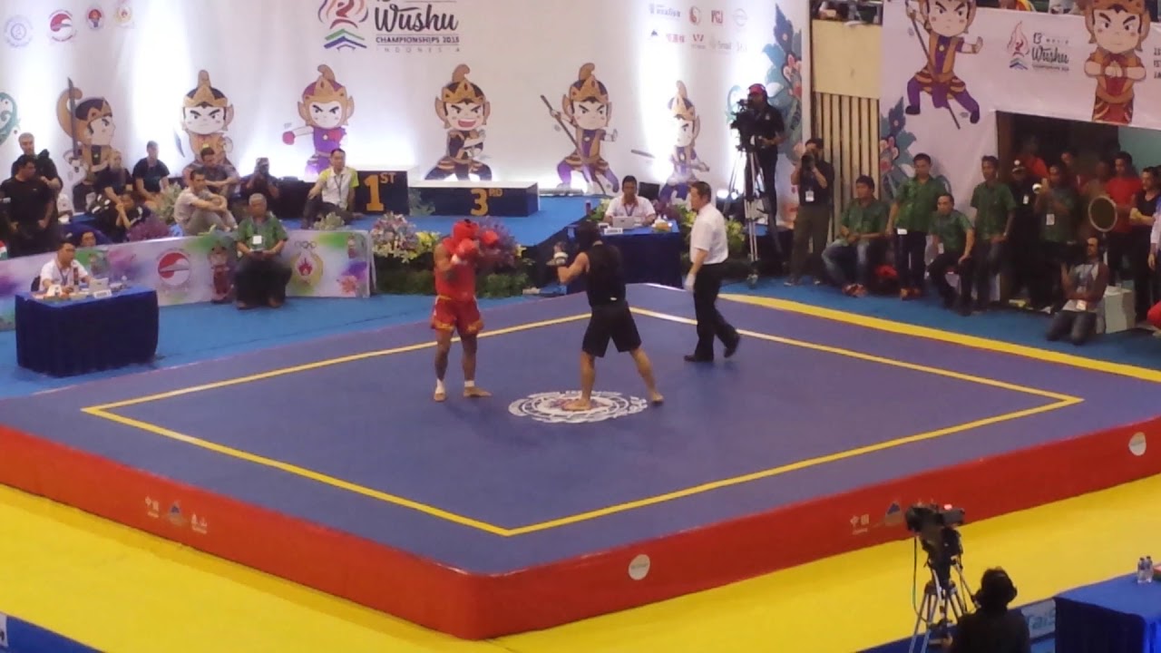 Iran vs Turkey -70kg Sanda Finals World Wushu Championships 2015