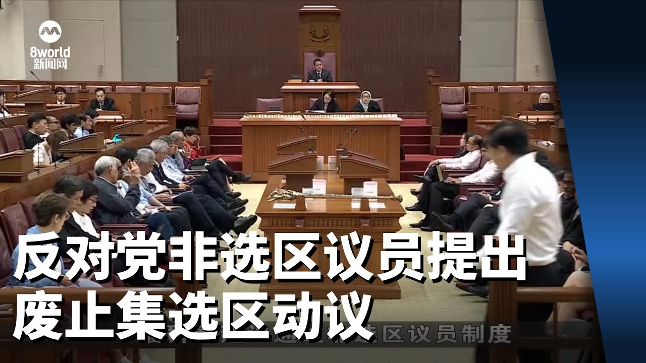 反对党非选区议员提出废止集选区动议