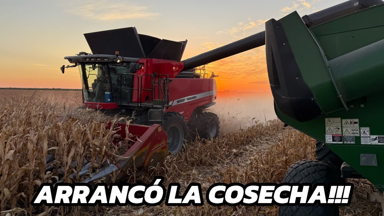 PRIMER día de COSECHA DE MAÍZ 25/26 con BUENOS RINDES! Tolveando con el JD 💪🏼