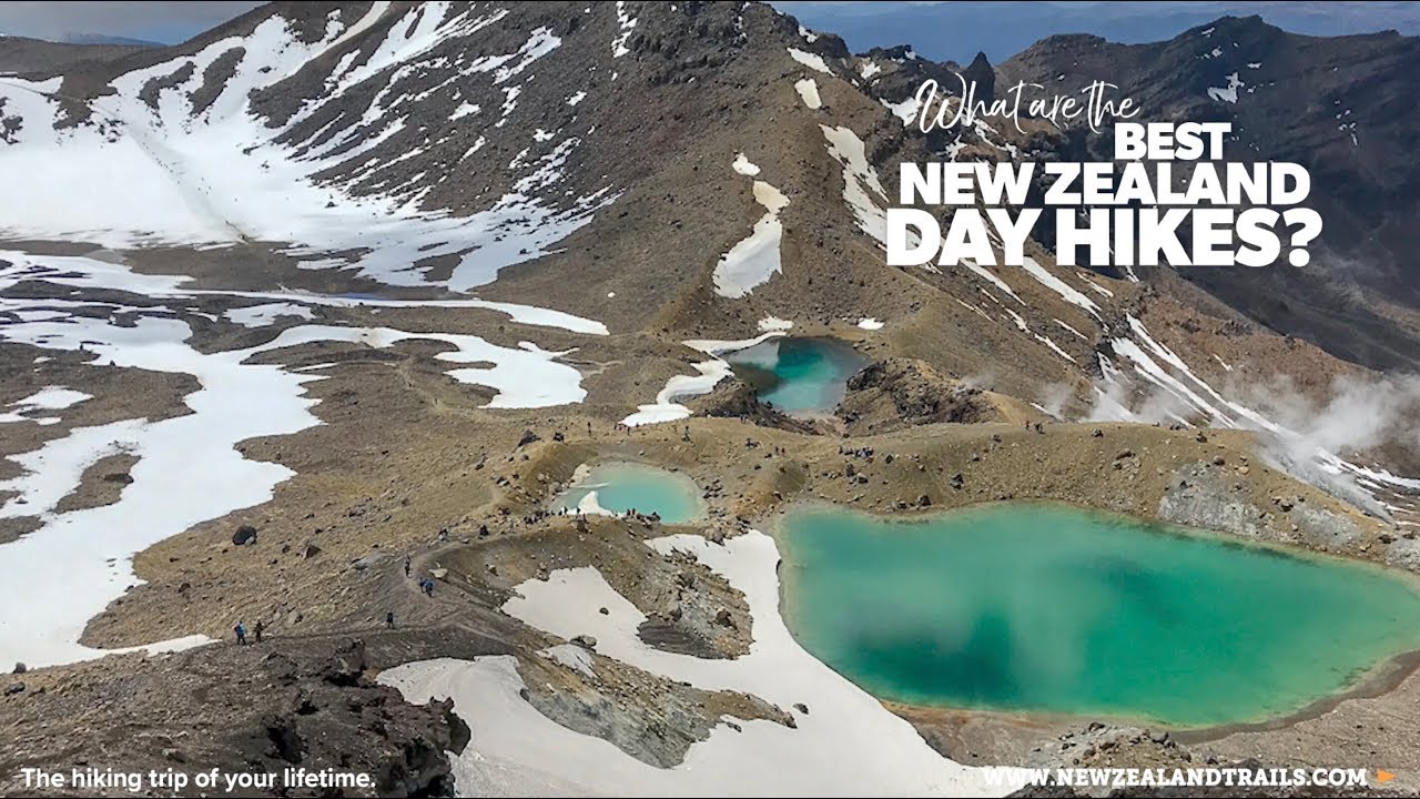 Best New Zealand Day Hikes