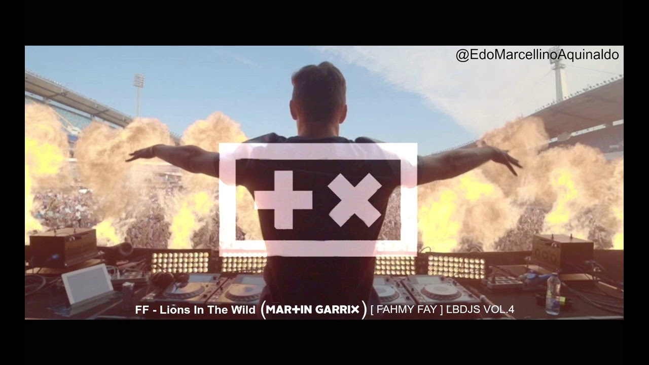FF - Lions In The Wild ( Martin Garrix ) [ FAHMY FAY ]  LBDJS VOL 4