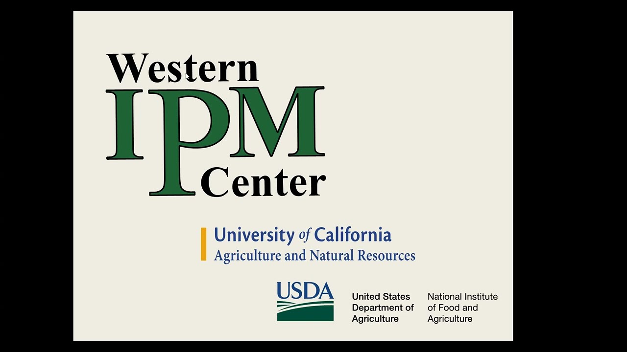 Western IPM Center 2024 Grant Program RFA Webinar