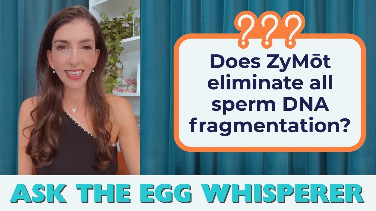 Устраняет ли Zymot всю фрагментацию ДНК сперматозоидов? (Спросите The Egg Whisperer)