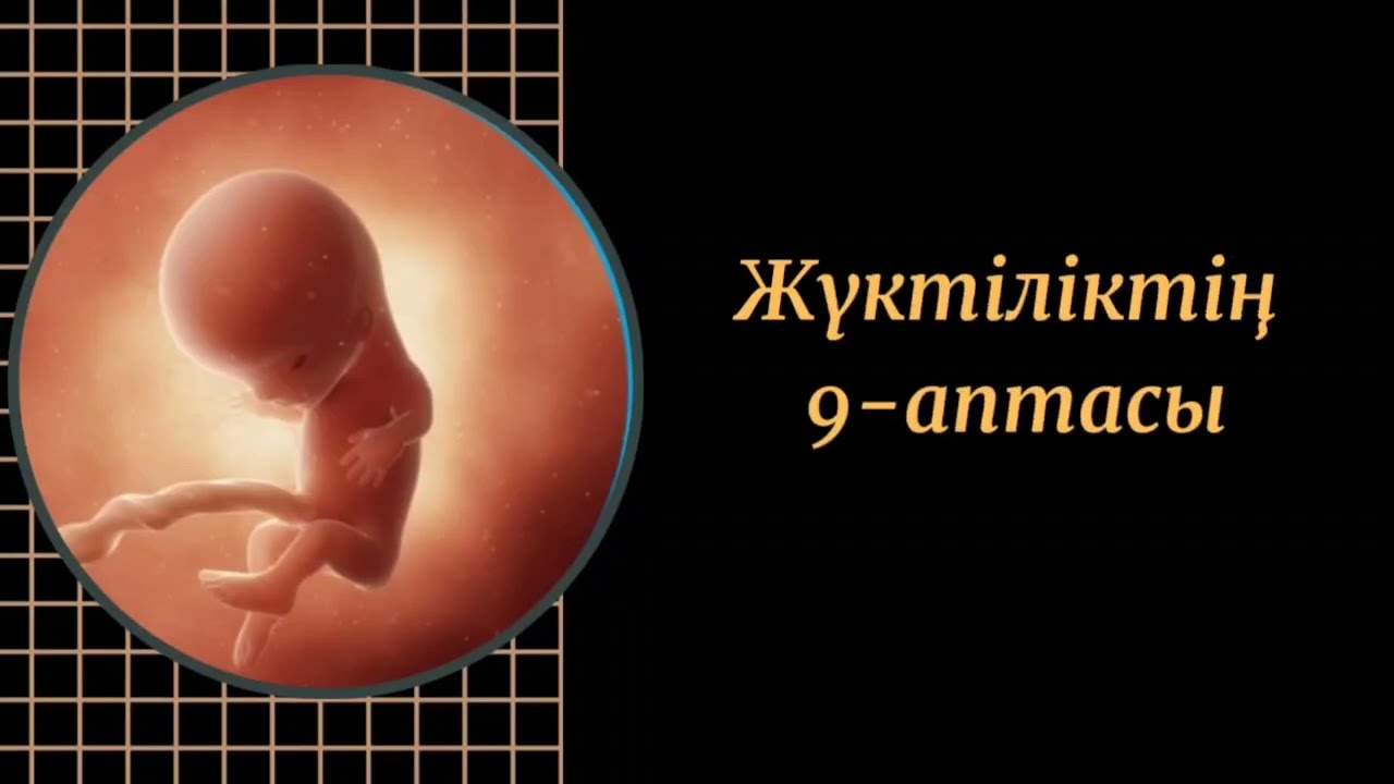 жүктіліктің 9-аптасы/ жүктілік күнтізбесі 9-апта