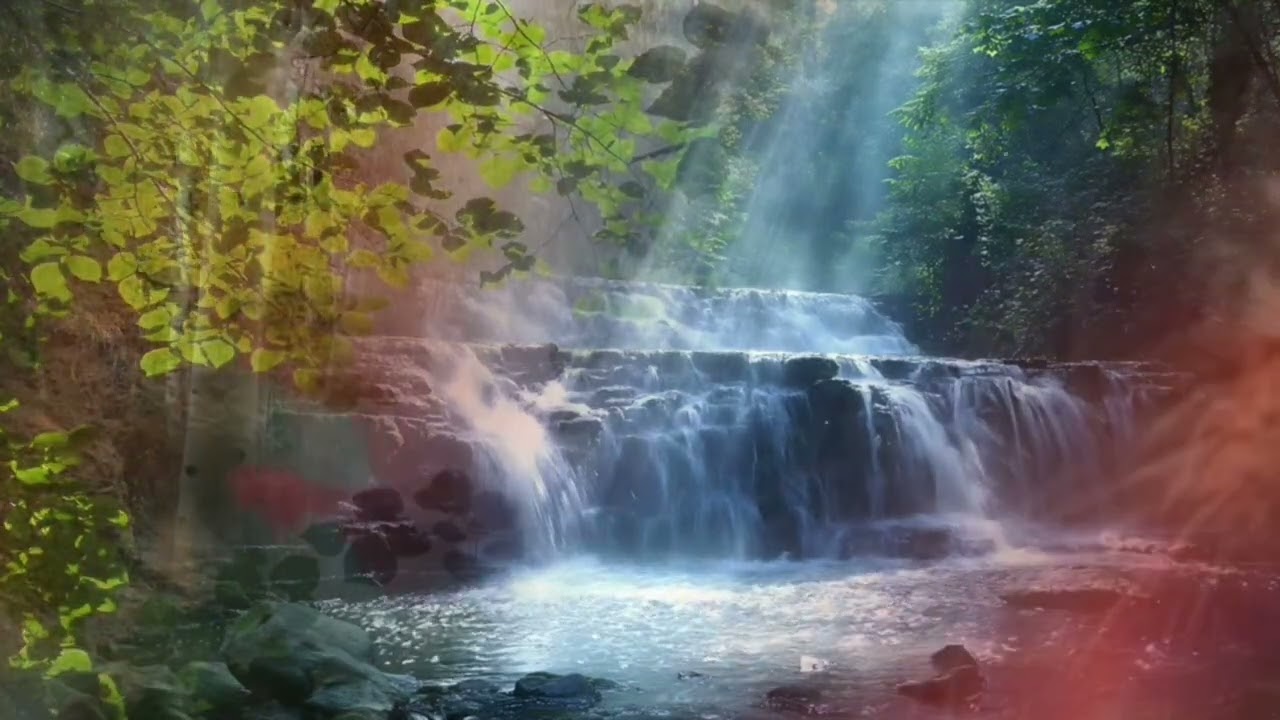 Salmo       Bossa Nova