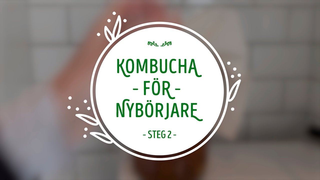 Martina brygger kombucha! Steg 2.